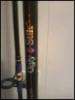 this shows the logo of the ugly stik reel