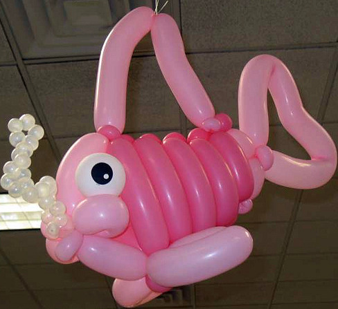 balloon animals balloon animals