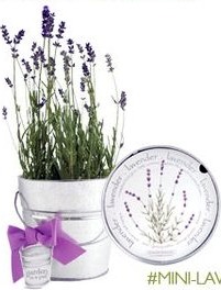 birthday gifts for mom