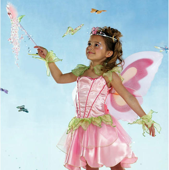 butterfly party