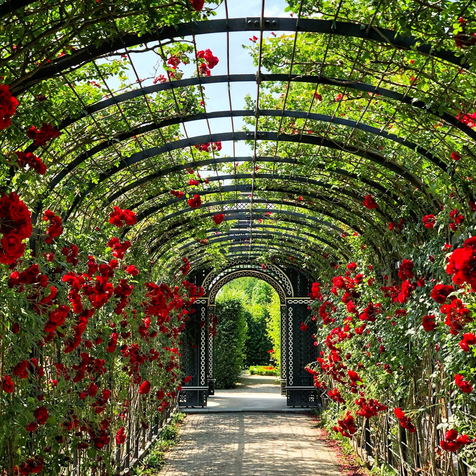 Garden Party Decorations