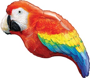 luau parrot