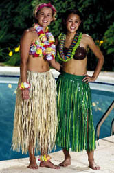 luau skirt bra