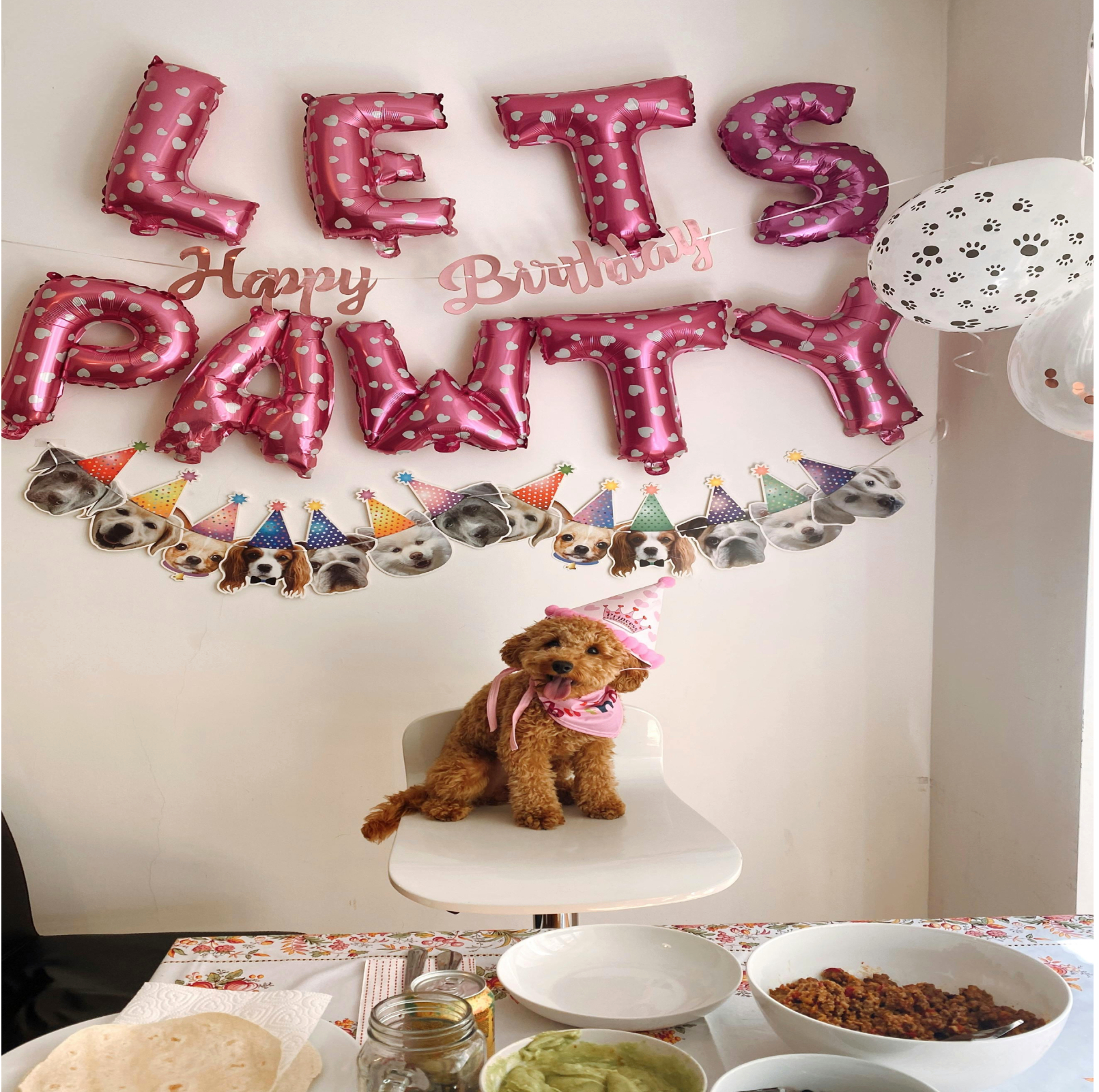 Ideas for a Puppy Party Ideas for a Puppy Party