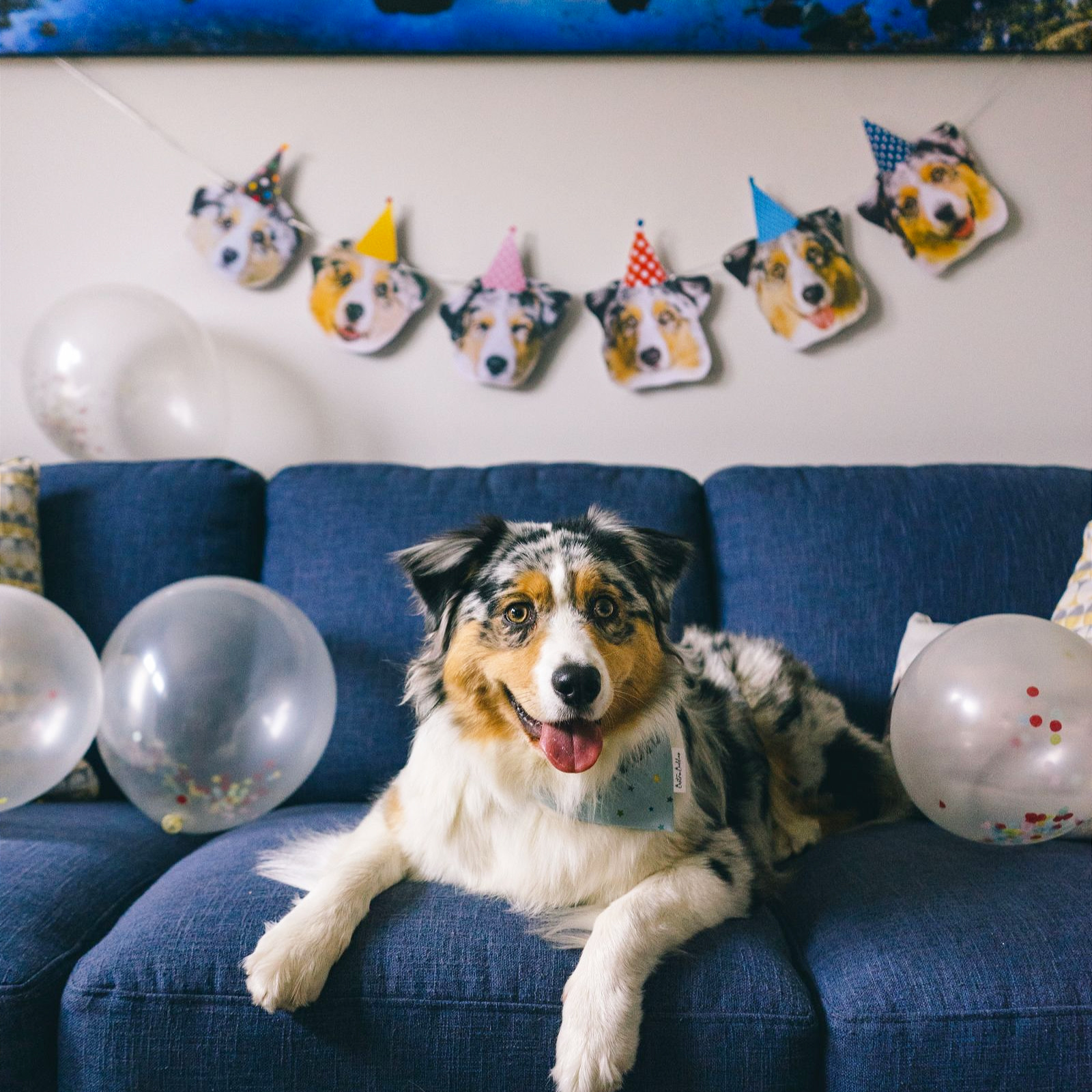 Puppy Party Puppy Party