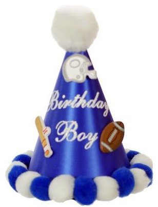 1st bday hat boy