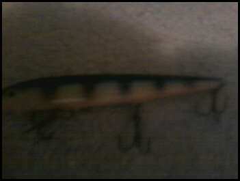 this is a rapala, my favorite lure