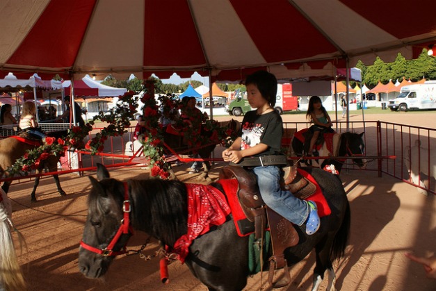 Extreme Circus Theme Party