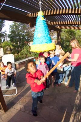 Birthday Party Pinata